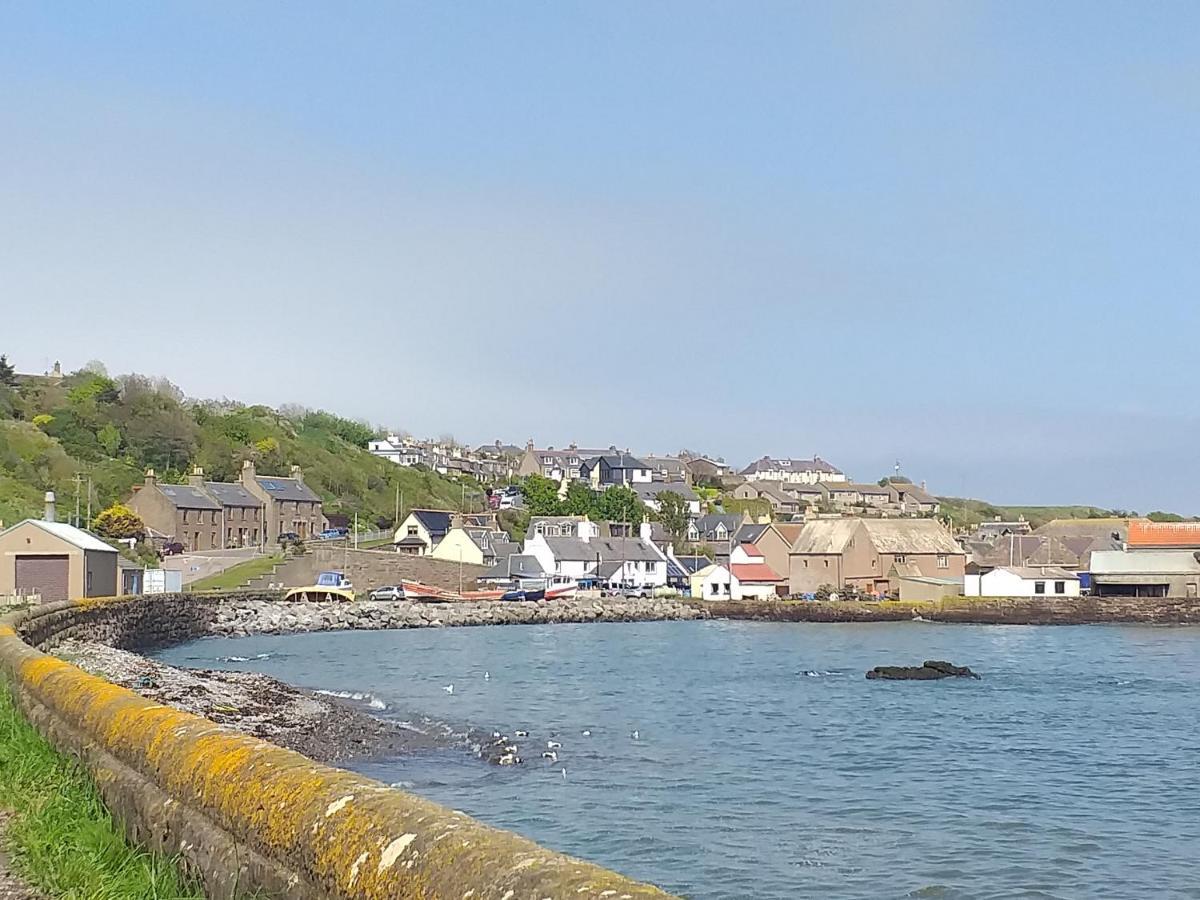 Coastal Cottage Inverbervie Eksteriør bilde